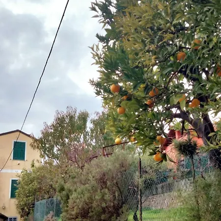 Ligurian Village, Historic Center, Near The Sea * Gorleri